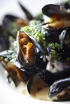 starter-dish-mussels-2-263x392.jpg